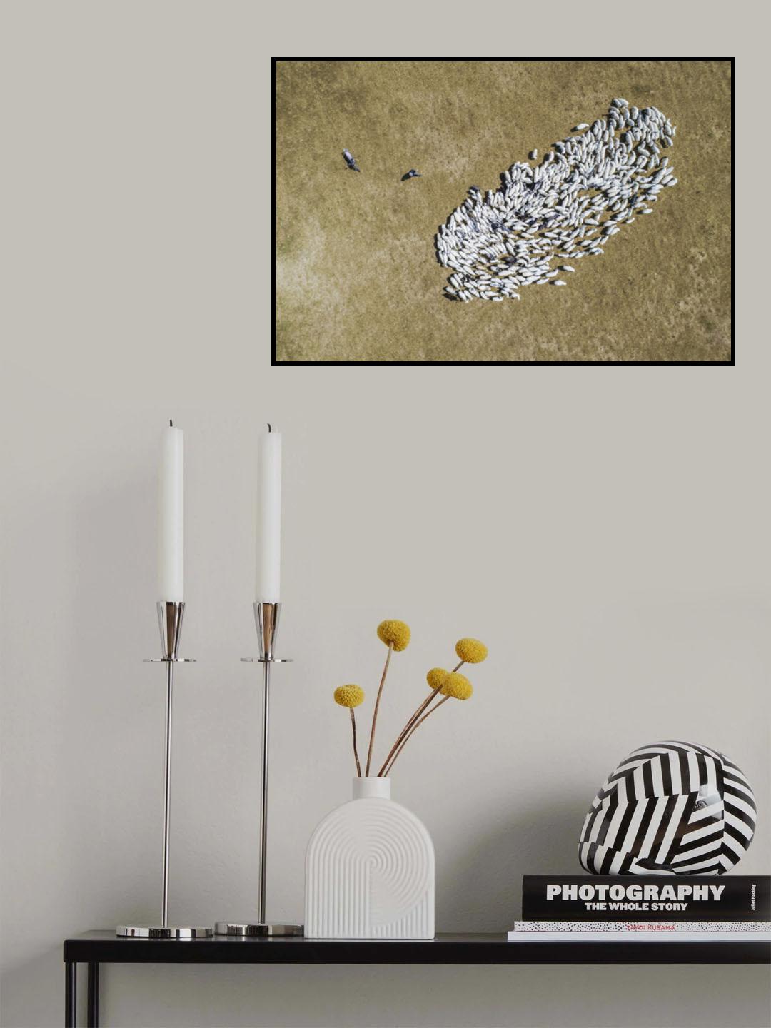 Autumn grassland Poster och Canvastavla