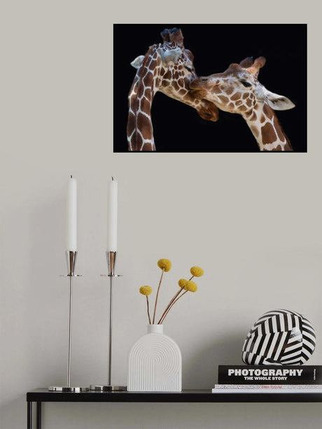 The kiss Poster och Canvastavla