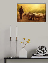 Shepherd Poster och Canvastavla
