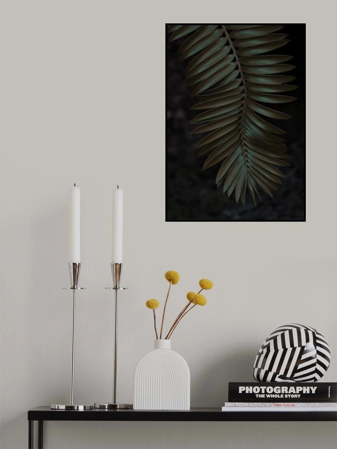 Cycad Poster och Canvastavla