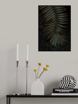 Cycad Poster och Canvastavla