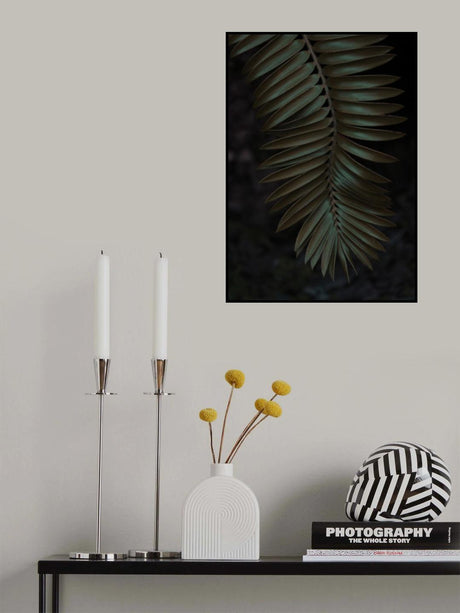 Cycad Poster och Canvastavla