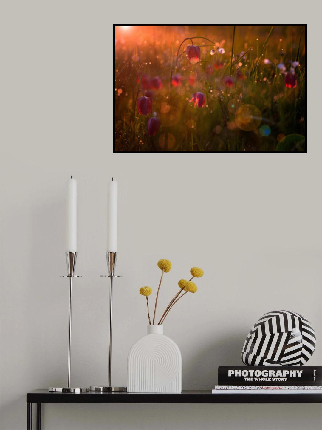 Potpourri Poster och Canvastavla