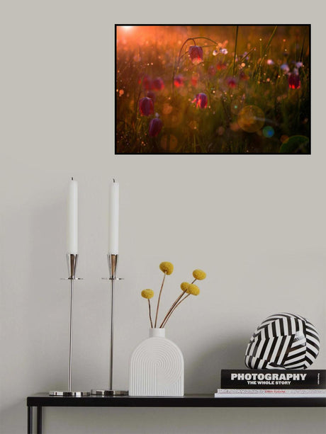 Potpourri Poster och Canvastavla