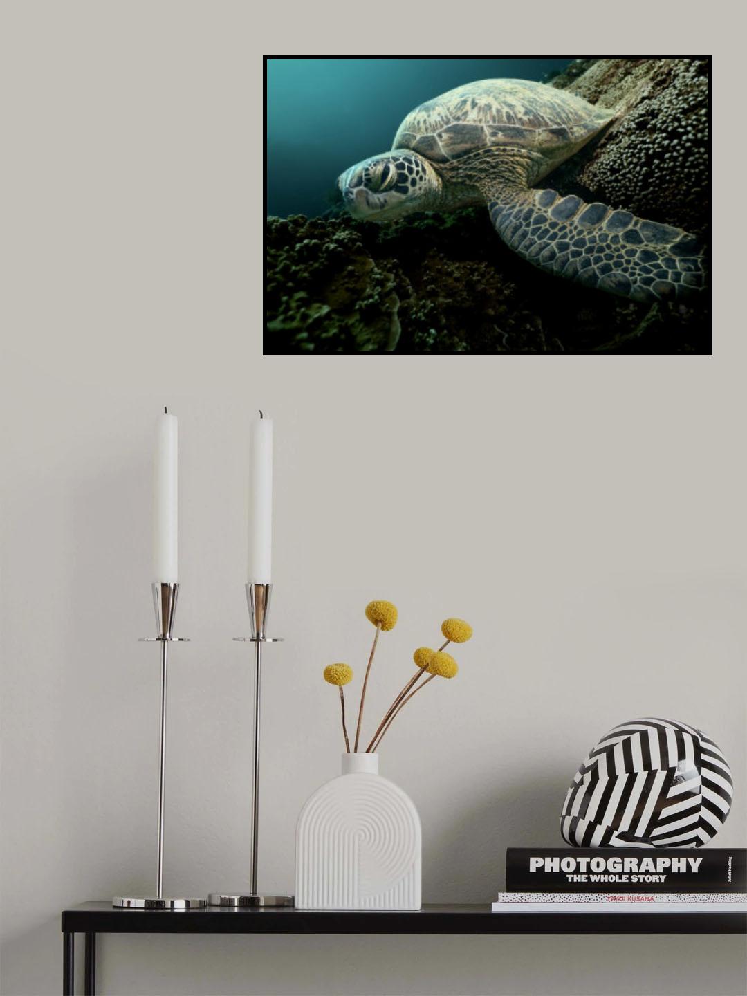 Sleeping Poster och Canvastavla