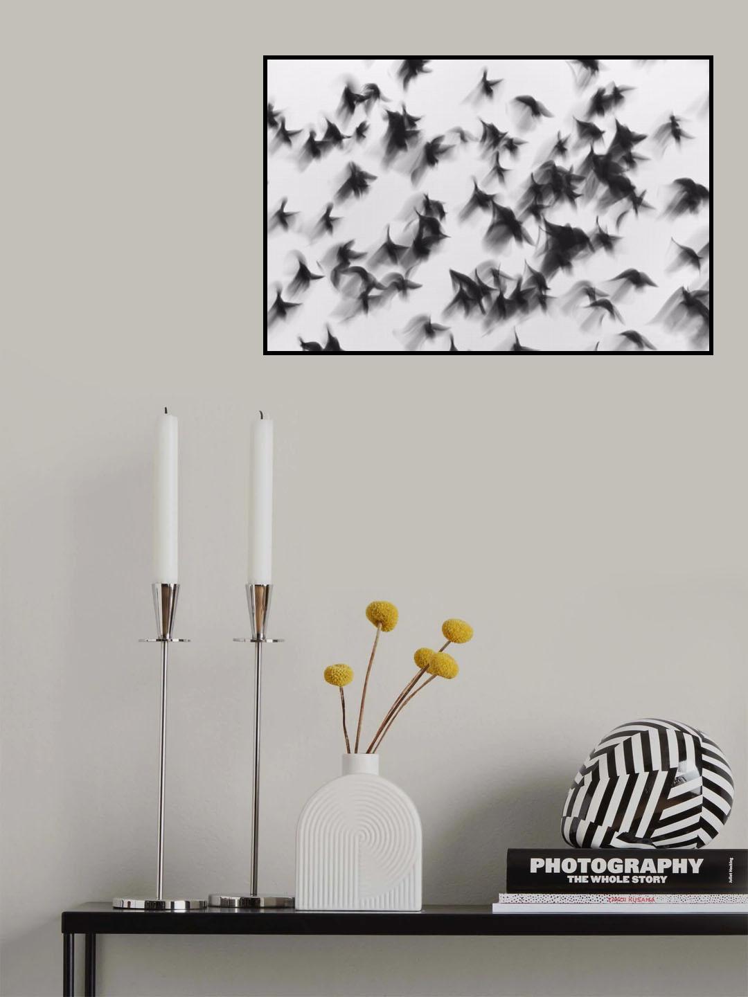 Birds Poster och Canvastavla