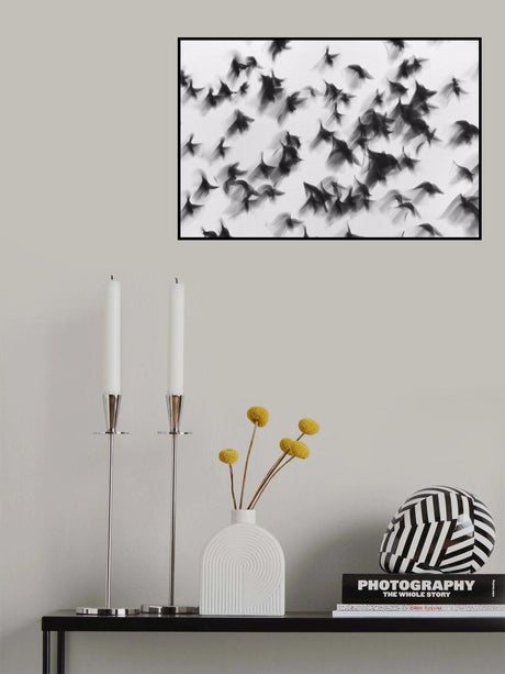 Birds Poster och Canvastavla