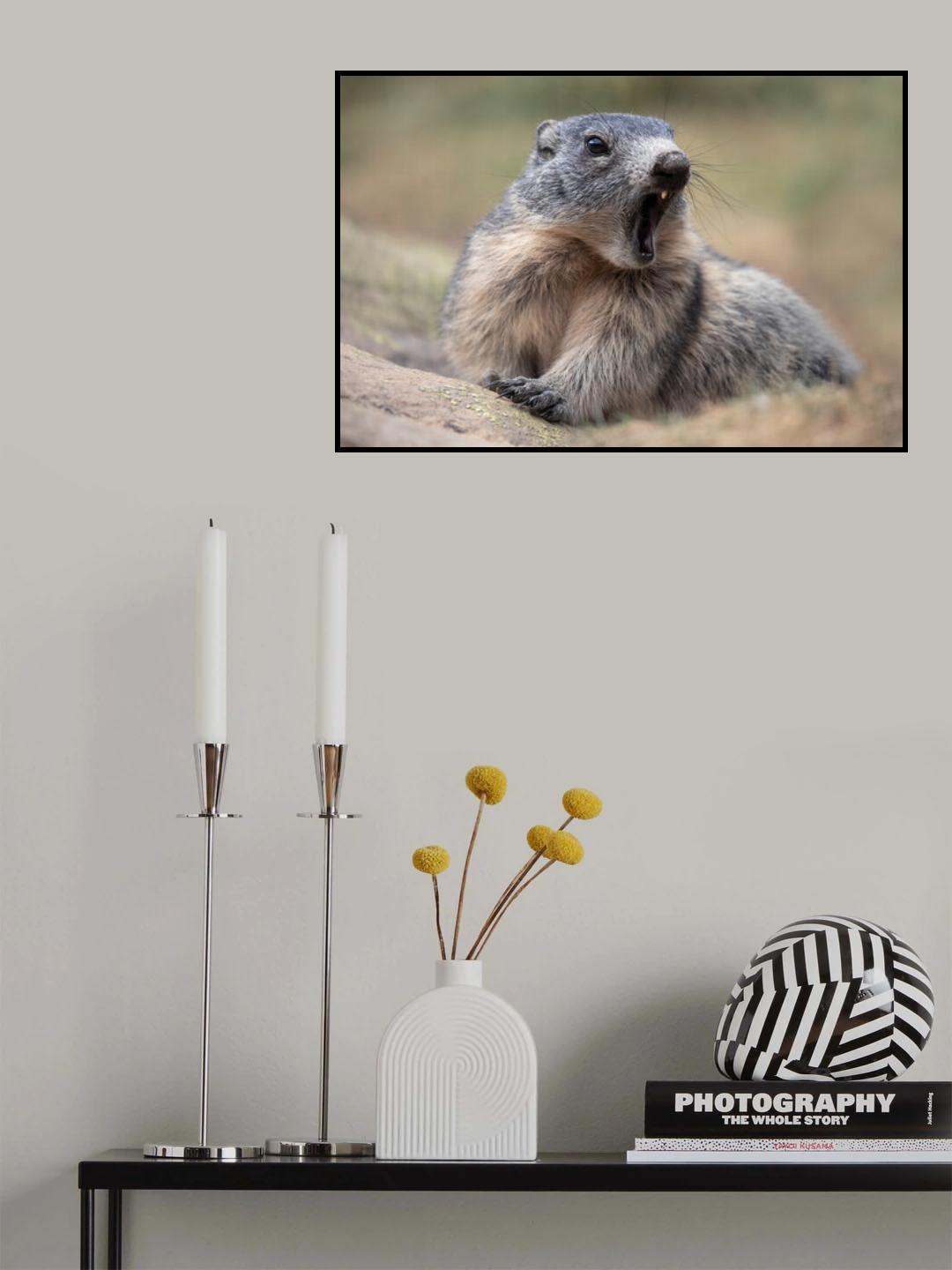The Allert Poster och Canvastavla