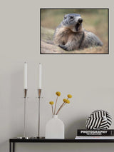 The Allert Poster och Canvastavla