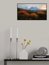 Spring in Patagonia Poster och Canvastavla