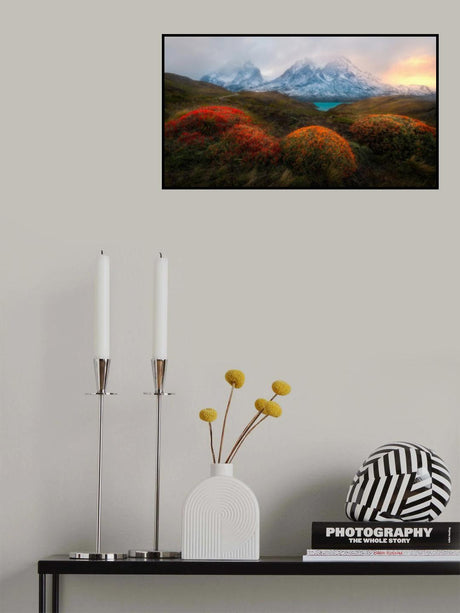 Spring in Patagonia Poster och Canvastavla