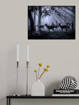 Morning ray of light Poster och Canvastavla