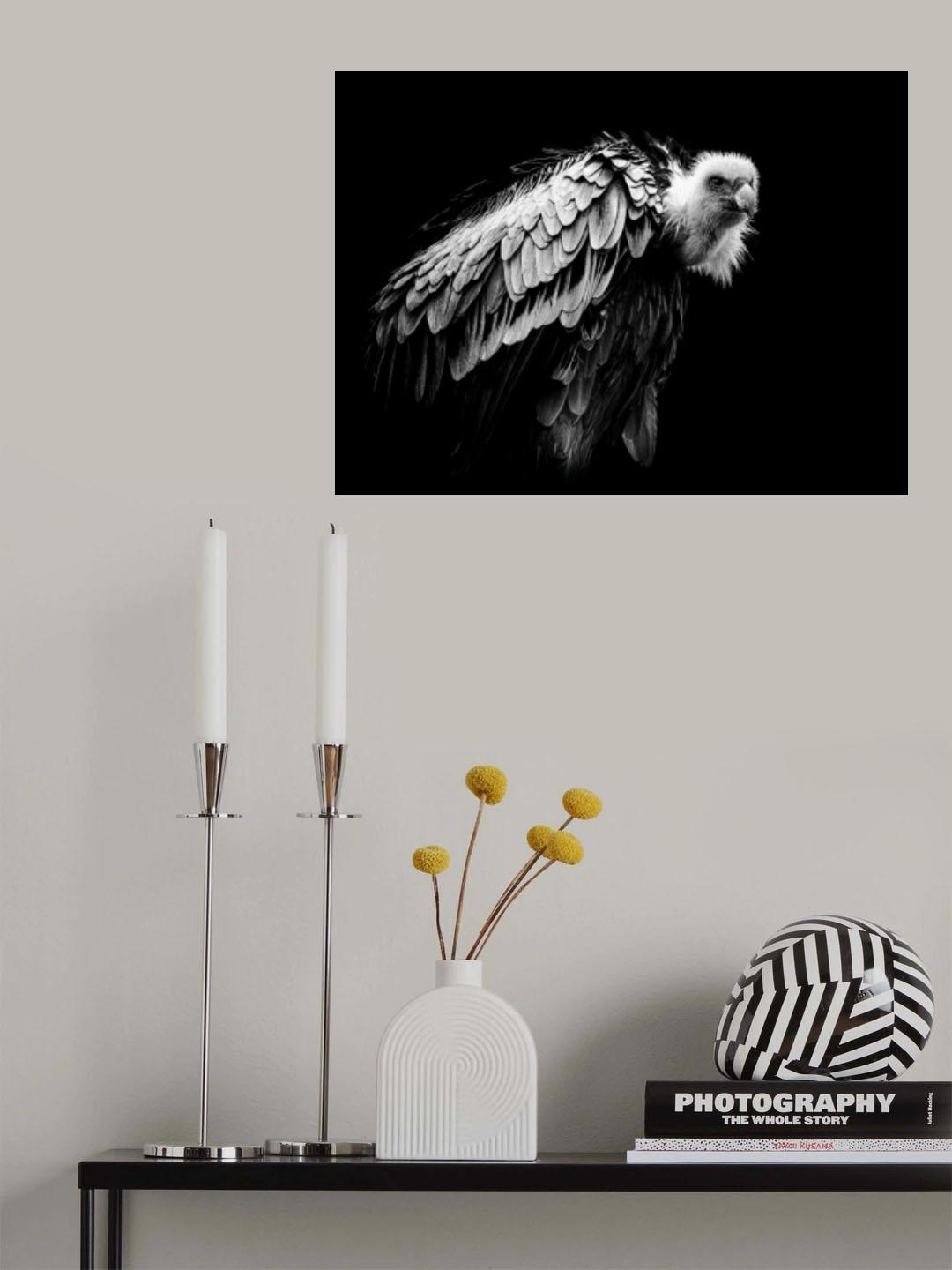 The Vulture Poster och Canvastavla