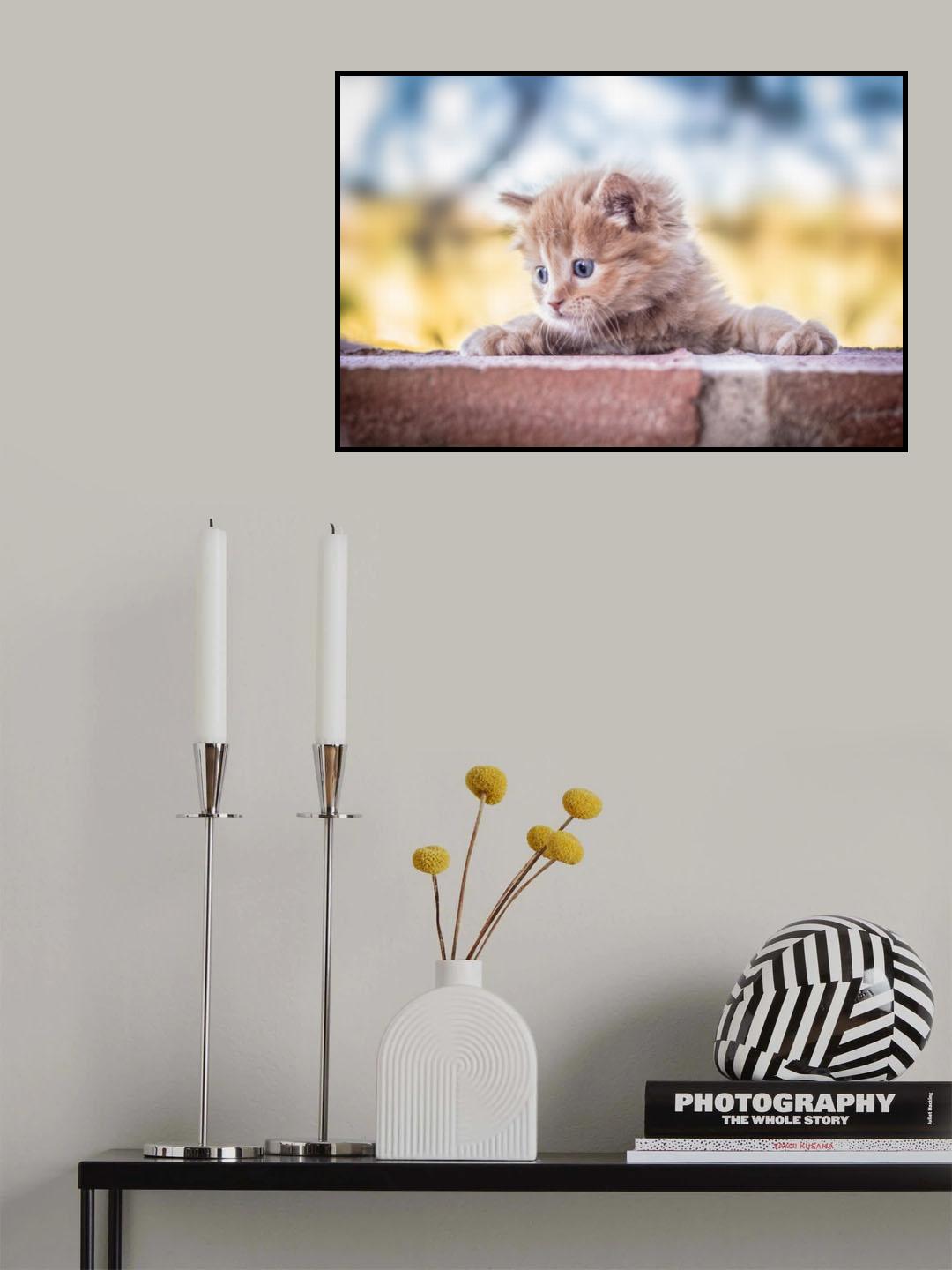 Cat Poster och Canvastavla
