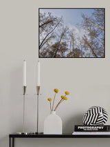 image of a forest after a fire Poster och Canvastavla
