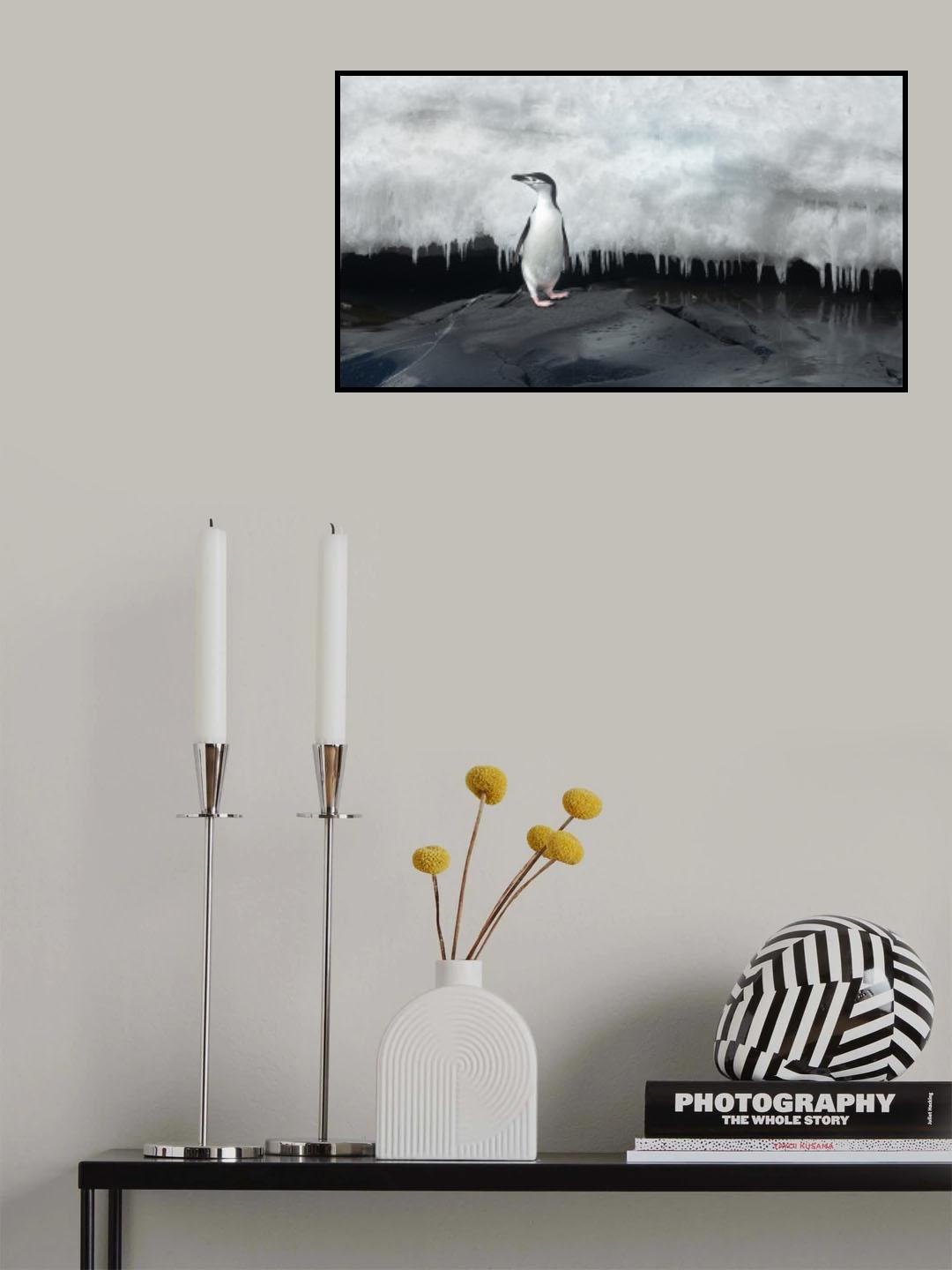 Chinstrap penguin Poster och Canvastavla