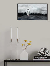 Chinstrap penguin Poster och Canvastavla