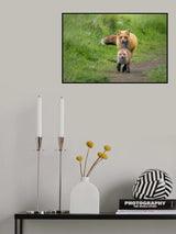 Follow Me Poster och Canvastavla