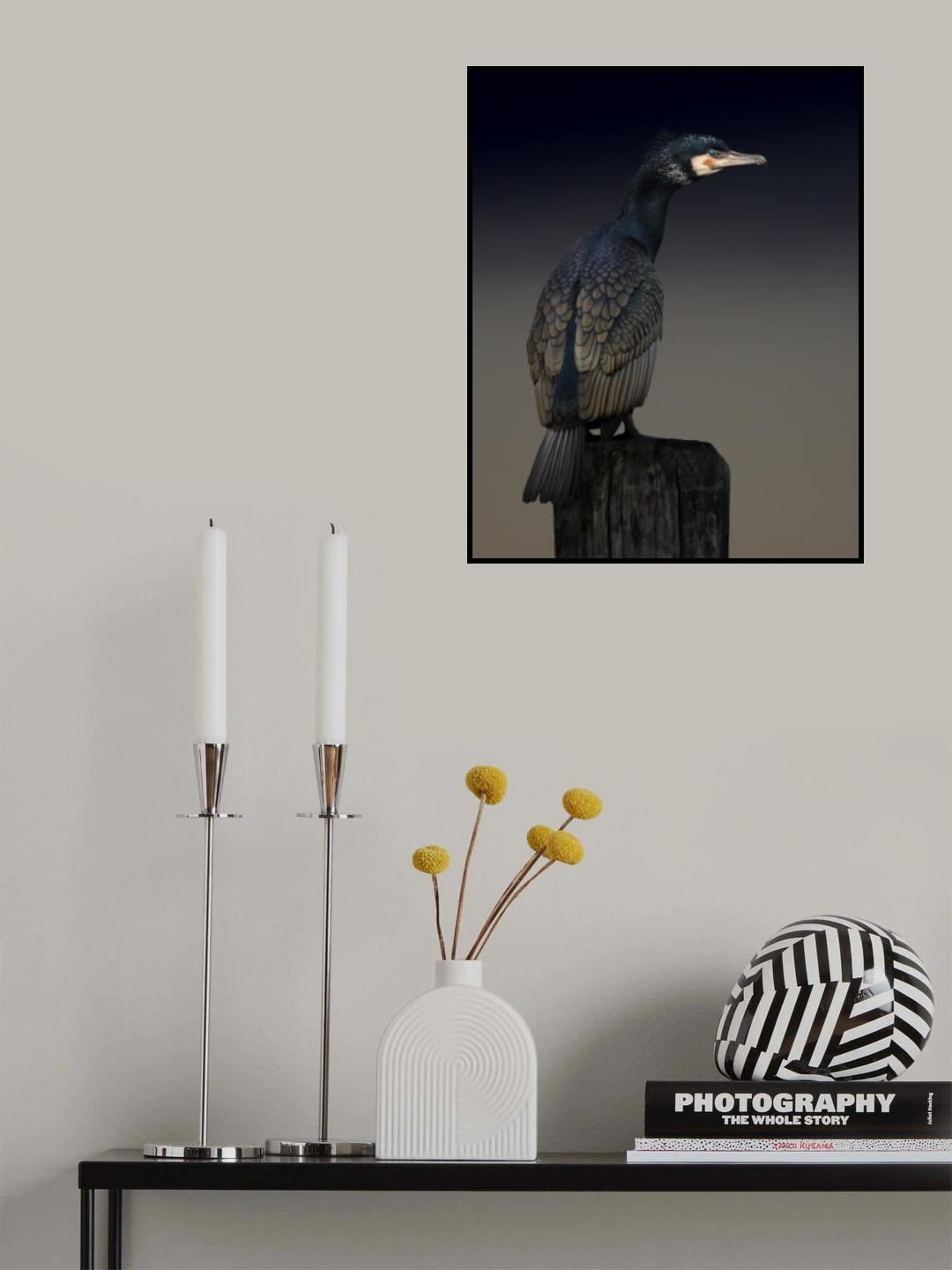 Cormorant palette Poster och Canvastavla