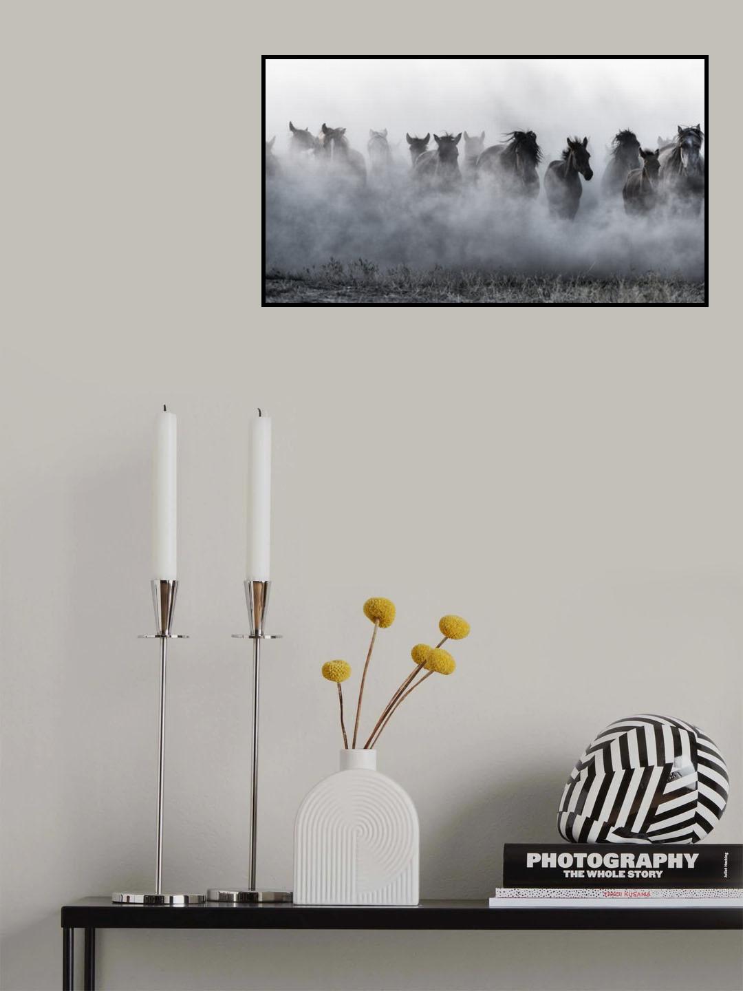 Mustangs Poster och Canvastavla
