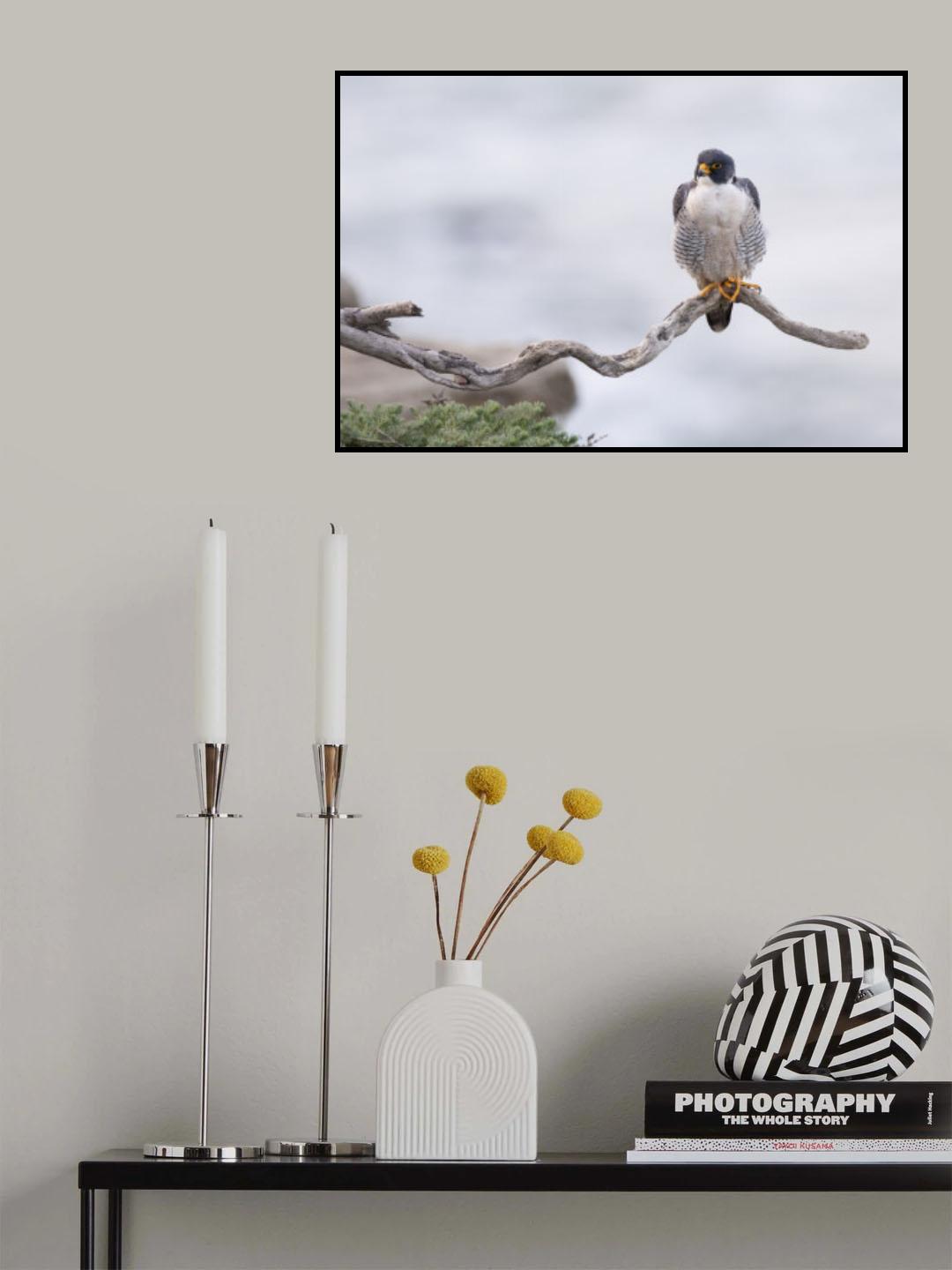 Coastal Cliffs Poster och Canvastavla