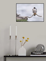 Coastal Cliffs Poster och Canvastavla