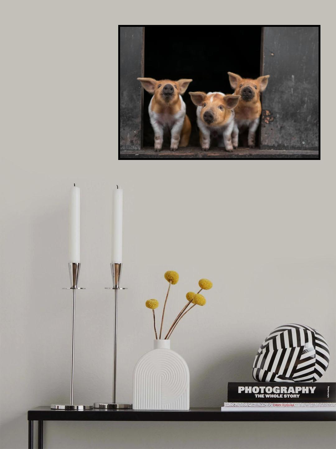 3 Poster och Canvastavla