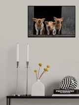 3 Poster och Canvastavla