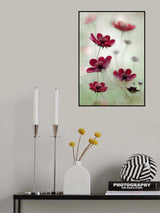 Cosmos sway Poster och Canvastavla