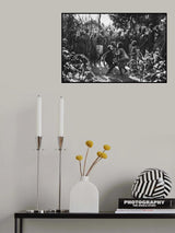 Suri densing Poster och Canvastavla