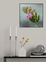 Spot color Poster och Canvastavla
