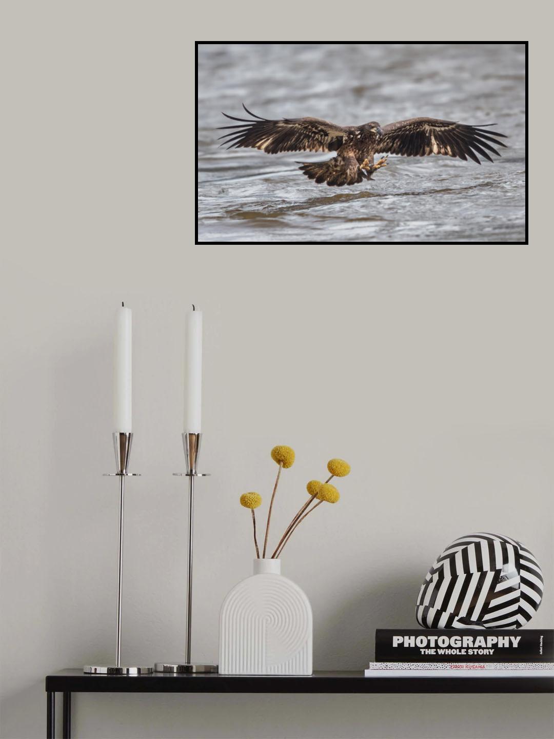 Learning to catch Poster och Canvastavla