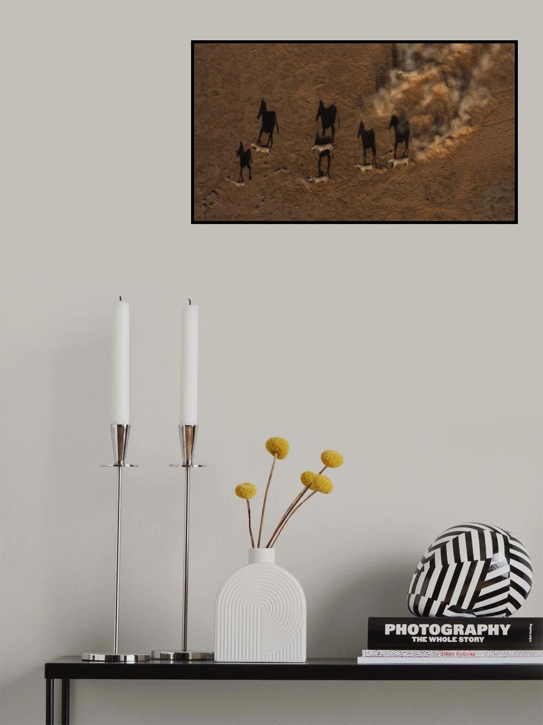 Running Zebras Poster och Canvastavla