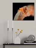 Twins Poster och Canvastavla