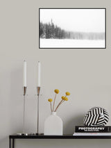 Forest for the Trees Poster och Canvastavla