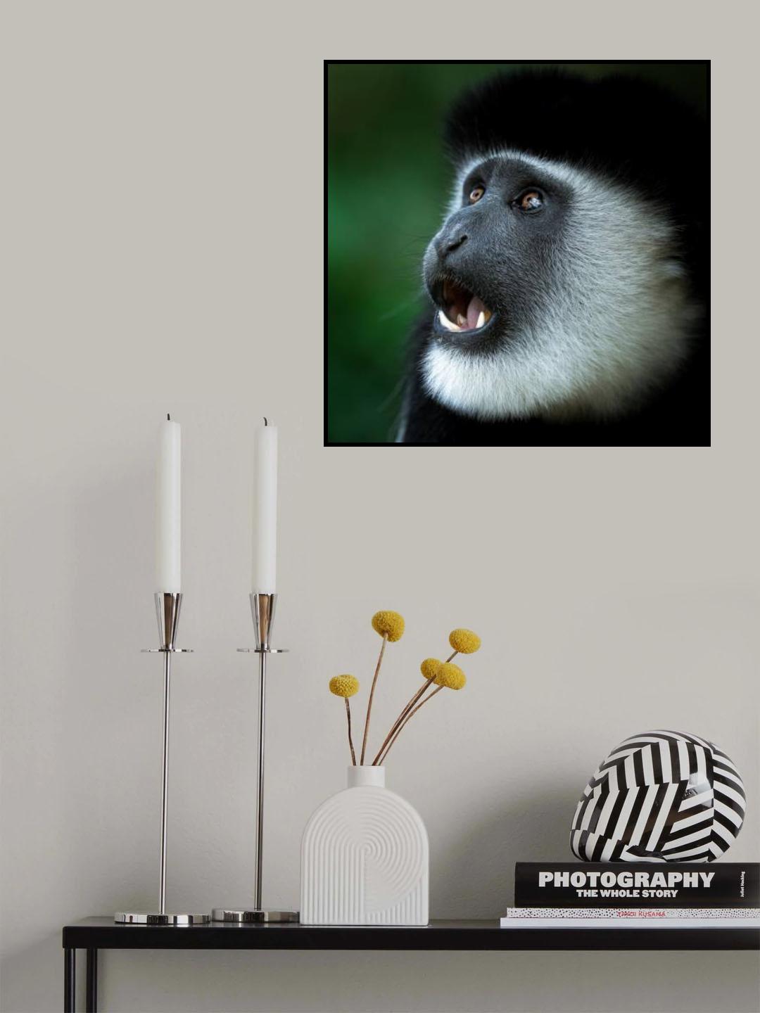 Surprised Poster och Canvastavla