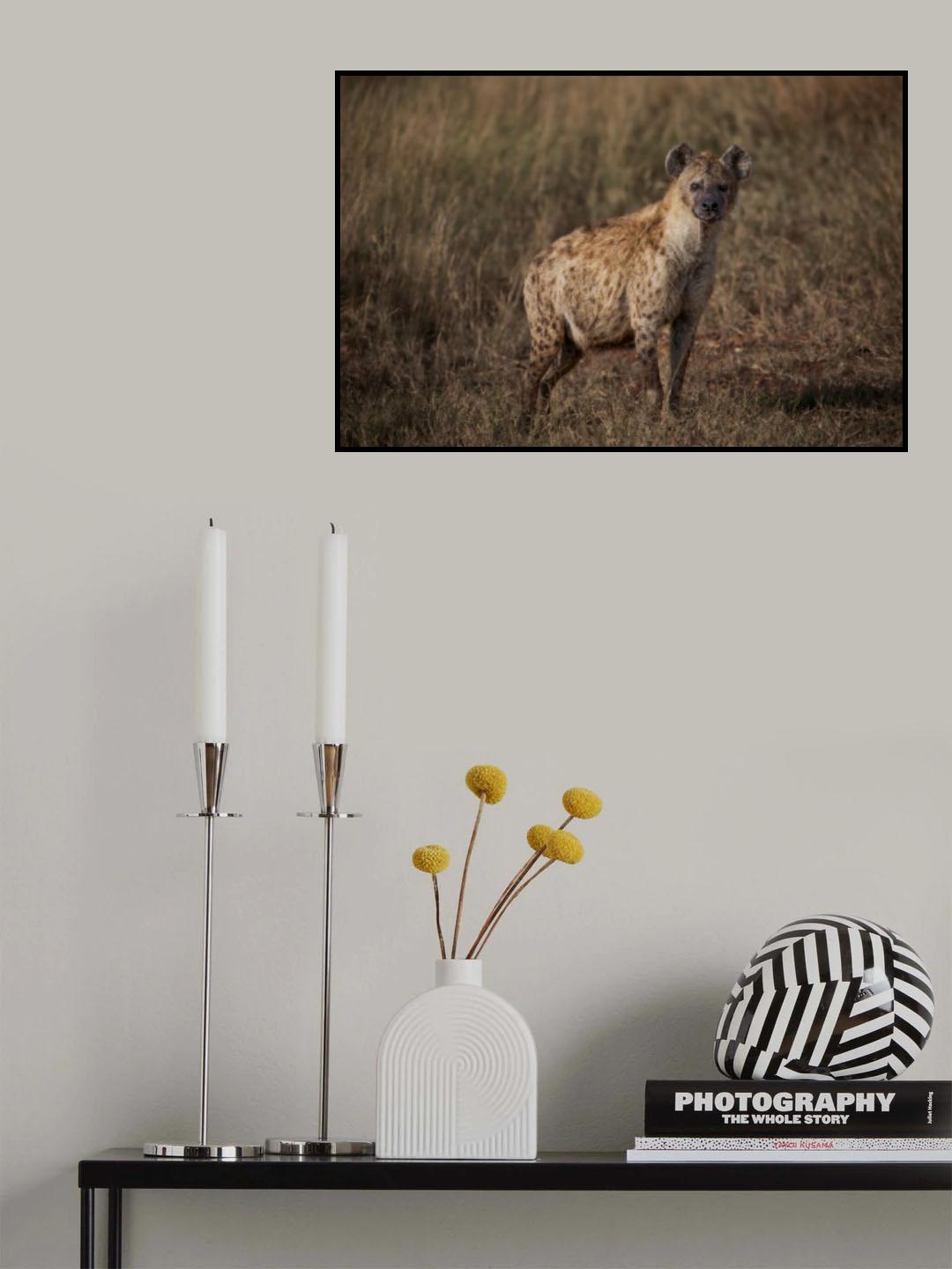 A Pregnant Hyena Poster och Canvastavla
