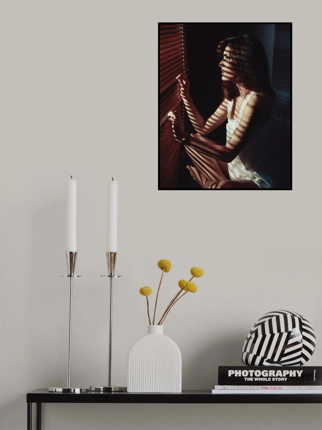 Mystification Poster och Canvastavla
