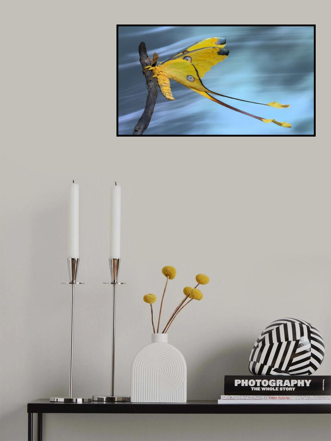 Hold on tight Poster och Canvastavla