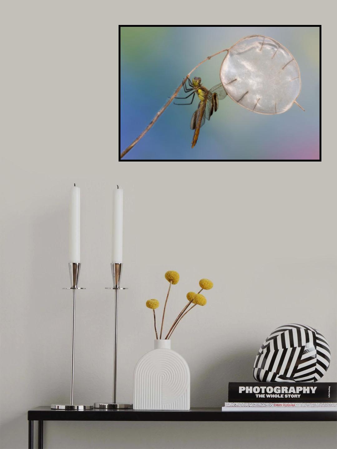 Flying in the sky with the little balloon Poster och Canvastavla
