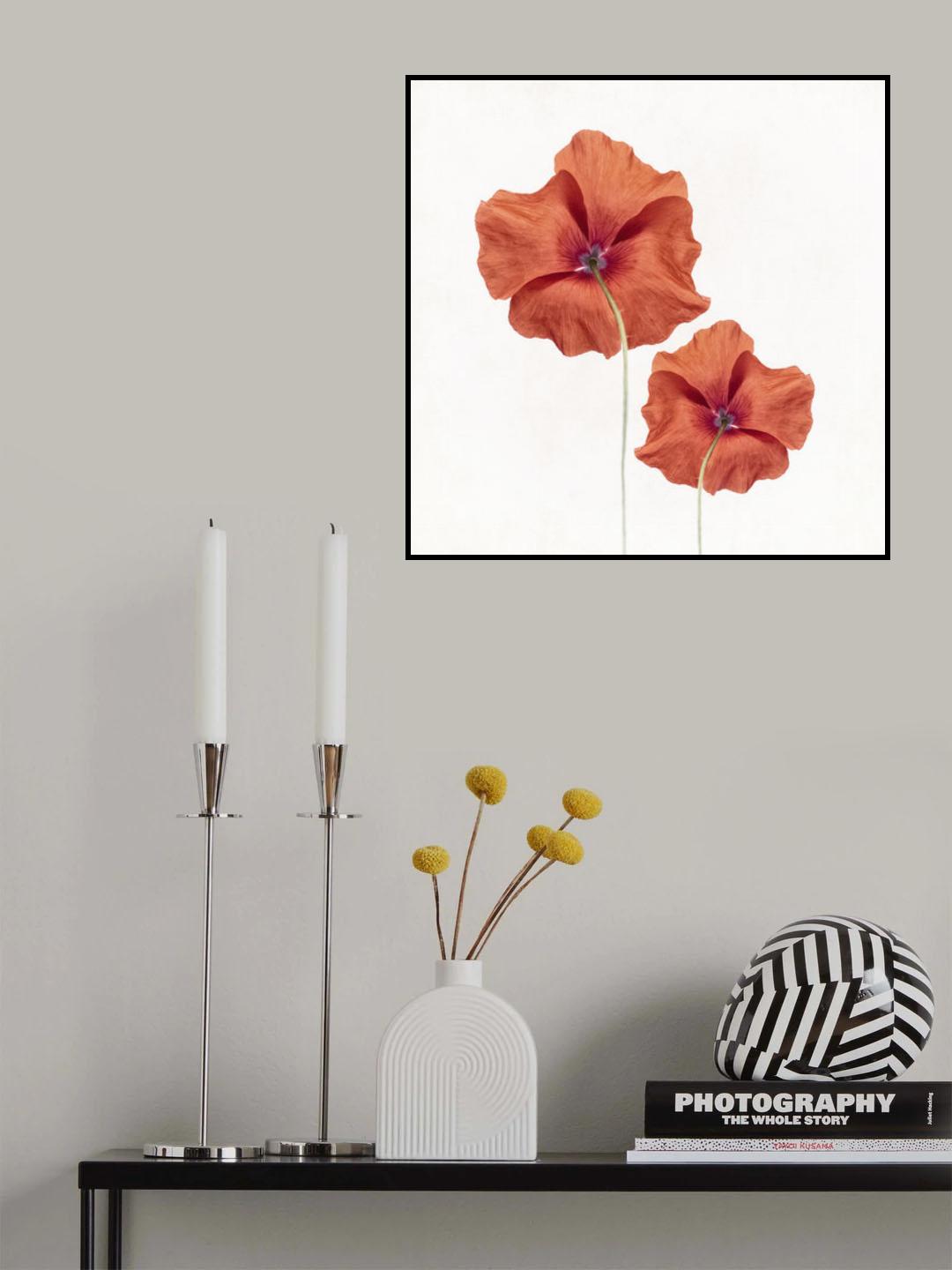 Poppies Poster och Canvastavla