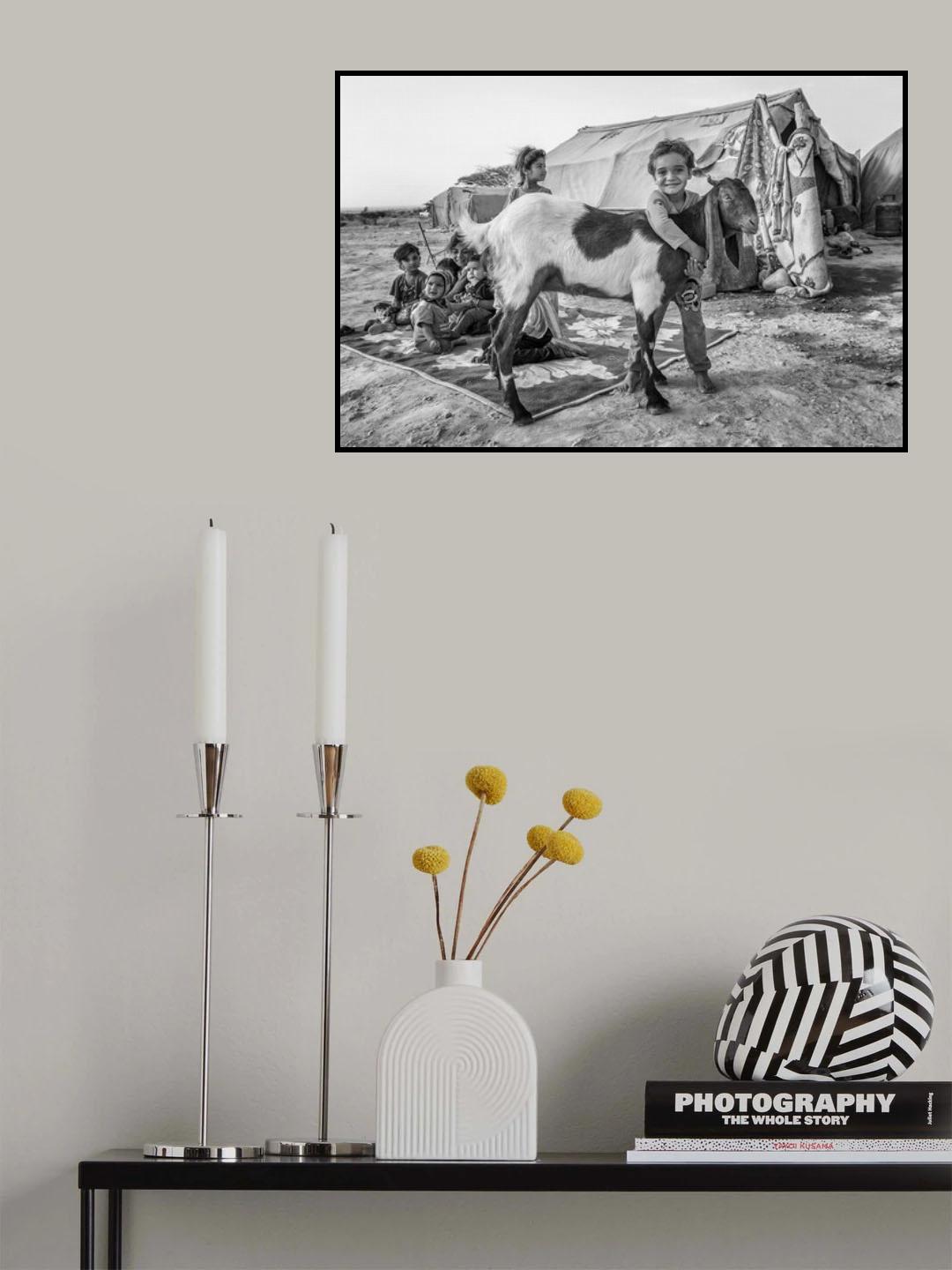 Living with goat Poster och Canvastavla