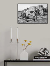 Living with goat Poster och Canvastavla