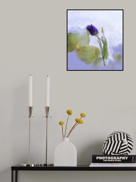 Ice Beauty Poster och Canvastavla