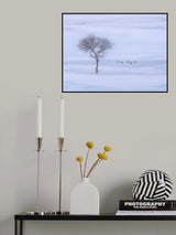 冬天 Poster och Canvastavla