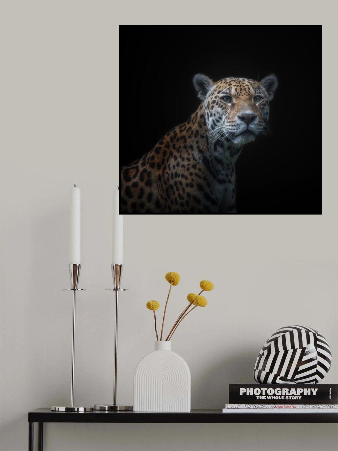 jaguar Poster och Canvastavla
