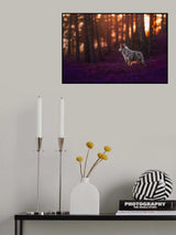 Heather lands Poster och Canvastavla