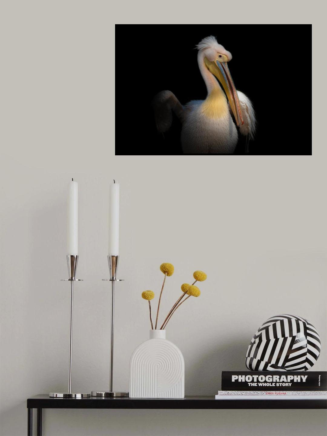 PELICAN Poster och Canvastavla