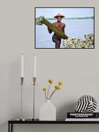 Waterlily man Poster och Canvastavla