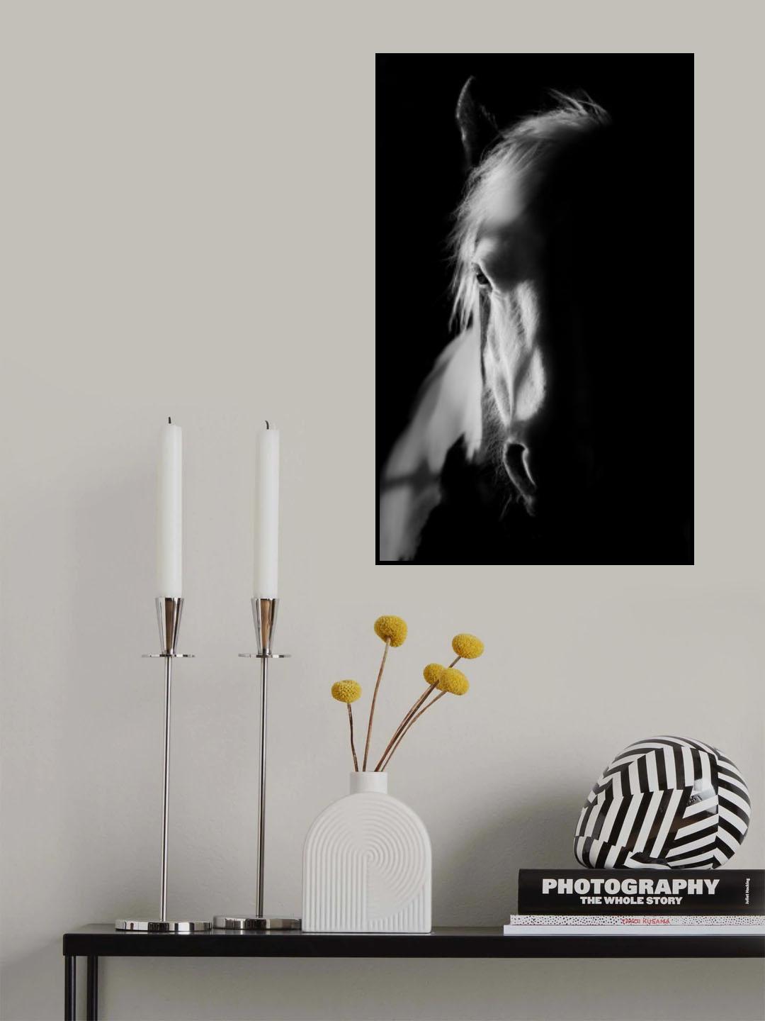 Catching Light Poster och Canvastavla